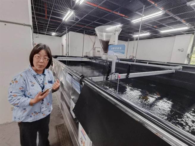嘉义大学水生生物学系主任陈淑美说明养殖智能系统的运作。（廖素慧摄）