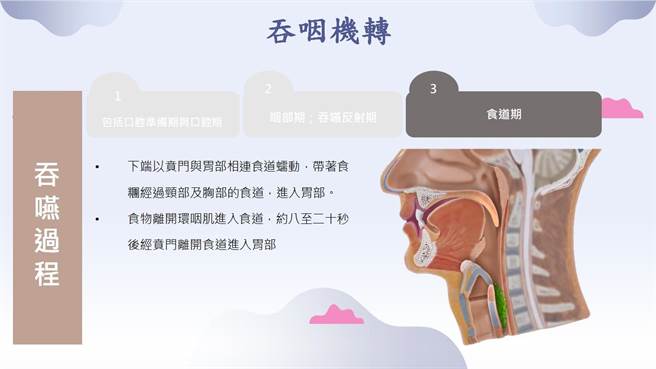 饮用餐食时吞咽功能机转过程图示。（嘉义医院提供／廖素慧嘉市传真）