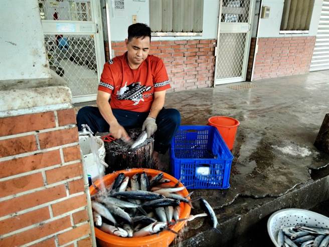 学校家长与社区志工每天到东澳粉鸟林渔港批货，挑选合适飞鱼载回学校厨房处理，之后上烤架熏烤，再后制包装。（东澳国小提供／吴佩蓉宜兰传真）