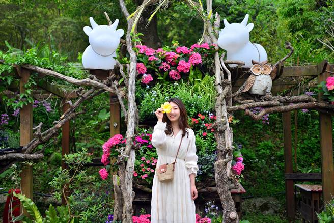 交通部观光局参山处举办南庄花卉摄影徵件比赛。（参山处提供／谢明俊苗栗传真）