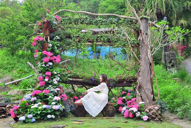 交通部观光局参山处举办南庄花卉摄影徵件比赛。（参山处提供／谢明俊苗栗传真）