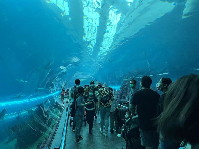 屏东海生馆惊传遭放4颗遥控炸弹，警方搜索后证实虚惊一场。(本报资料照片)