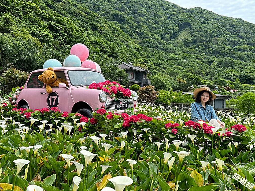 竹子湖繡球花季(圖：台北市農會提供)