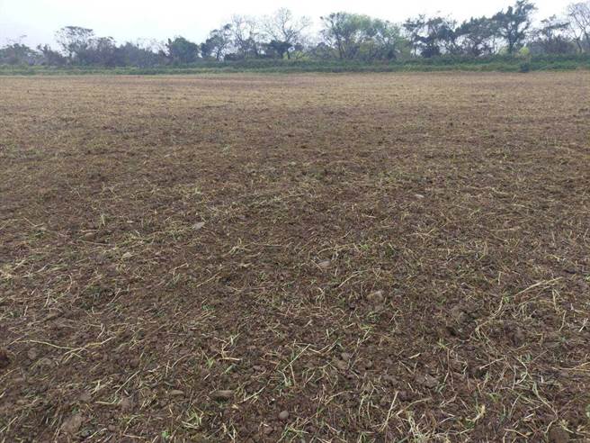 芦竹中福地区1977年爆发镉污染，解列后仍无法復耕，议员张桂绵17日为农民请命，希望盘点无法復耕土地活化运用。(张桂绵提供／蔡依珍桃园传真)