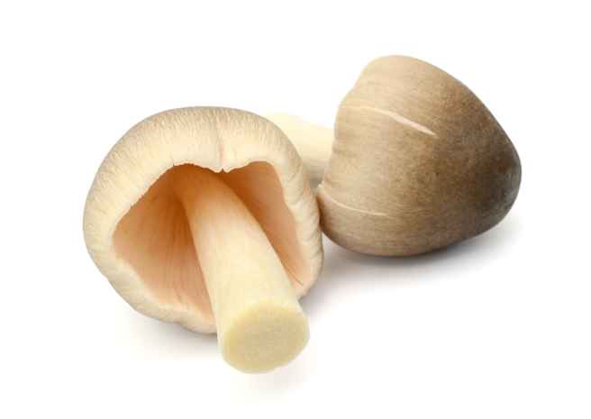 草菇是人类食用的蕈类之一，在亚洲国家菜肴尤其常用。（图／Shutterstock）