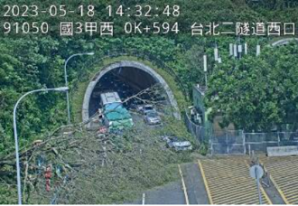 國3甲台北隧道口大樹倒塌！猛砸數車橫躺車道  全線封閉成停車場