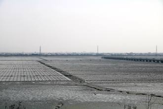日本丸紅集團力挺  全球最大海上型太陽能電廠落腳彰濱 