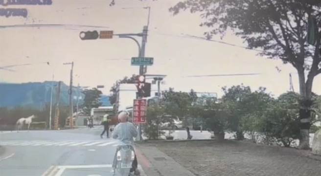 吉安乡光华2街上，有3匹马结伴在马路奔跑，员警到场指挥交通。（翻摄画面／王志伟花莲传真）