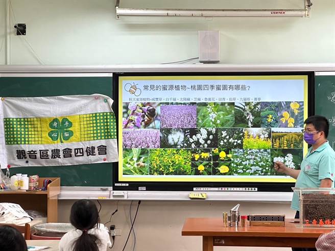 桃园市观音区农会前进校园推广食农教育，介绍蜜蜂生态与产业。（观音区农会提供／蔡明亘桃园传真）