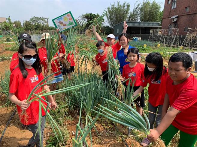桃园市观音区农会推广食农教育向下扎根，带领学童到当地农家协助收成。（观音区农会提供／蔡明亘桃园传真）