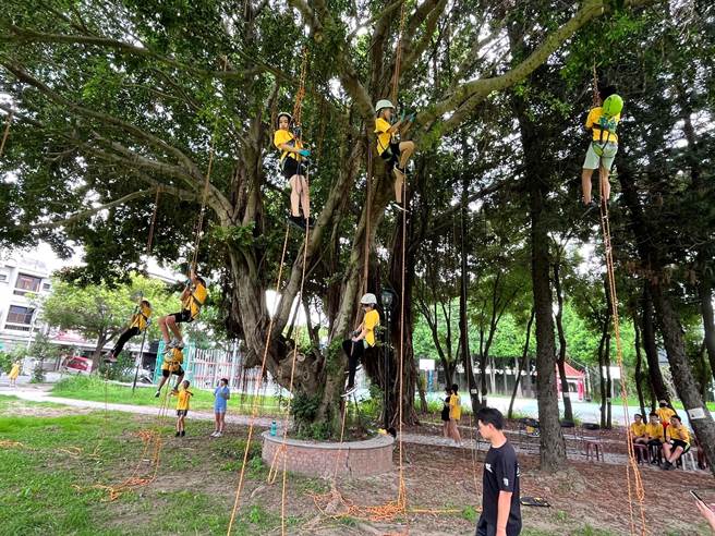 云林县土库国小学生化身「蜘蛛人」攀树，克服恐惧挑战自我。（土库国小提供／张朝欣云林传真）