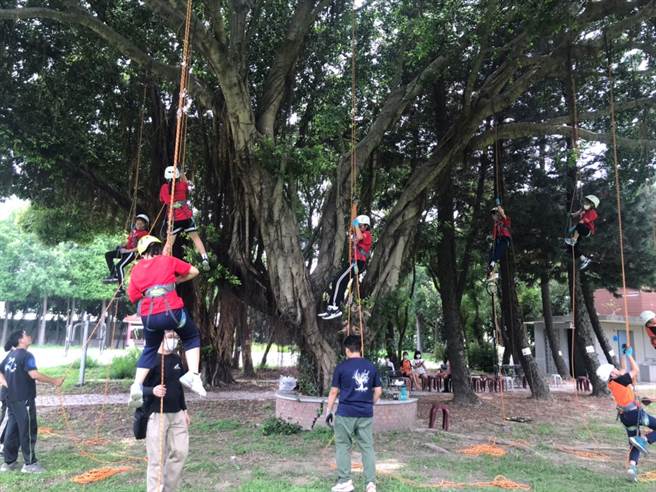 云林县土库国小「蜘蛛人」攀树活动，由专业老师指导确保安全。（土库国小提供／张朝欣云林传真）