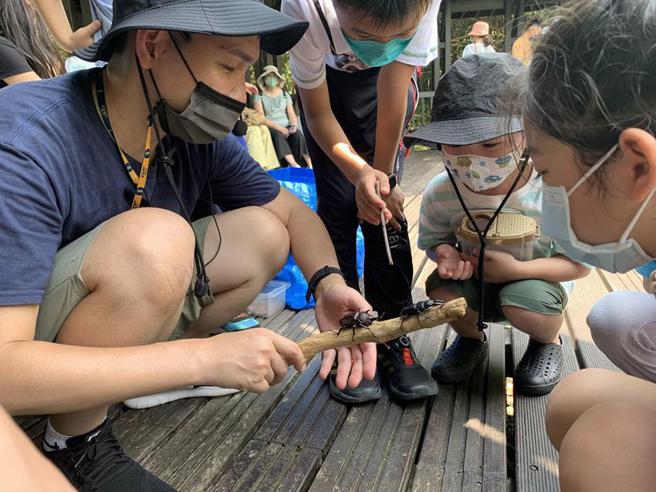 台北美福大饭店夏令营课程，安排专业师资带领小朋友前往大直剑南山观察生态。（图／台北美福大饭店提供）