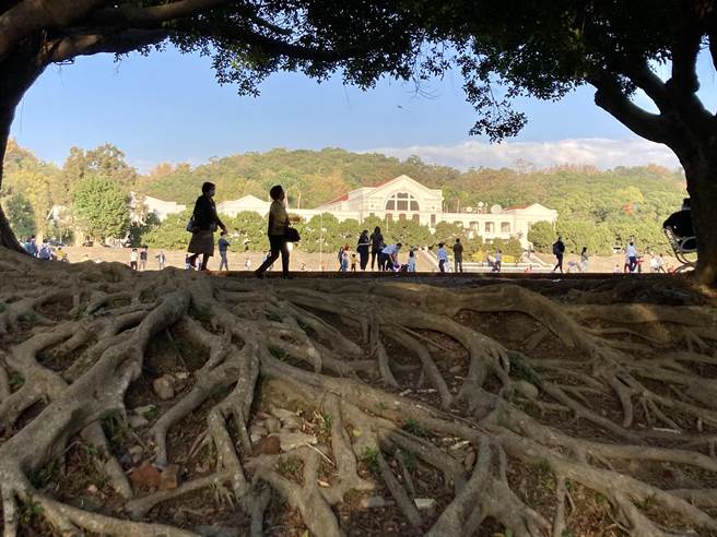 南投中兴新村仿英国郊花园城市概念兴建，精省后住户剩3000多人，因环境怡人每逢假日吸引游客造访。（杨静茹摄）