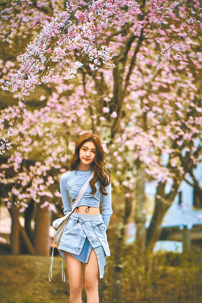 韩菲赴日在樱花树下拍摄MV，美不胜收。（骏马客工作室提供）