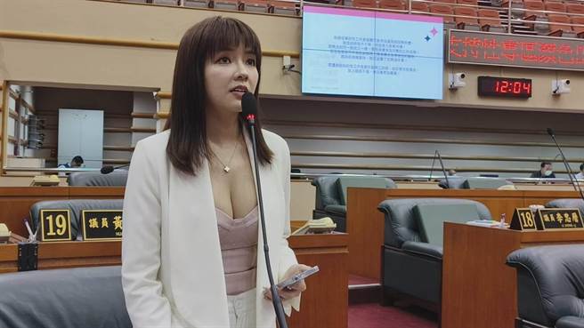 嘉义市议员顏色不分蓝绿支持性专区顏色田慎节在议会质询有关性专区议题。（廖素慧摄）