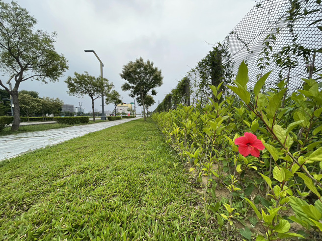 水湳机场原址区段徵收配余地绿美化(中科路两侧)。(图/臺中市政府地政局提供)