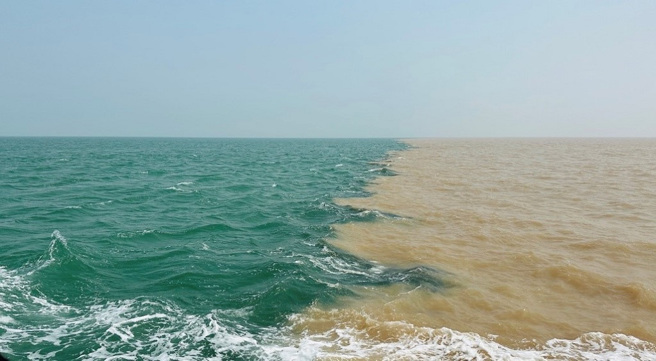 黄河入海口，泥沙与海水碰撞壮丽景观。 （图／臺港澳媒体团提供）