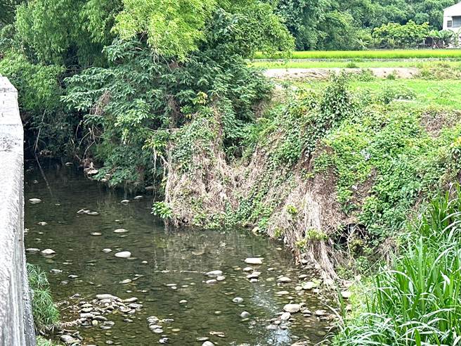 大雅区塔莲沟下游段护岸部分区段为土堤护岸，因豪雨洪水冲刷，造成崩坏及土壤流失。（陈淑娥摄）