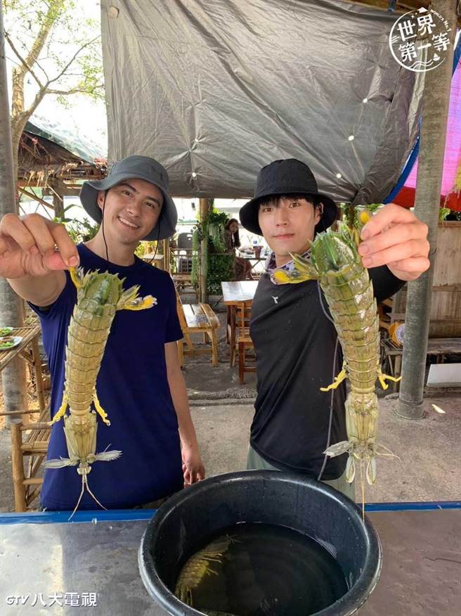 唐振刚（右）、潘君仑捕捉大型濑尿虾。（八大提供）