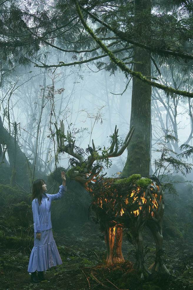 梁静茹暌违4年推出全新专辑《麋鹿》。（泽山音乐娱乐提供）