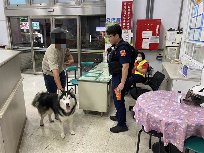 32歲黃姓男子日前停等紅燈時，竟有一隻哈士奇自動跳上機車腳踏板，並搖尾巴吐舌頭賣萌，讓黃男頓時不知所措，但黃男發現哈士奇身上有掛項圈，懷疑是一隻「迷途羔狗」，就將哈士奇帶到警局。（高市三民二分局提供／楊舒婷高雄傳真）
