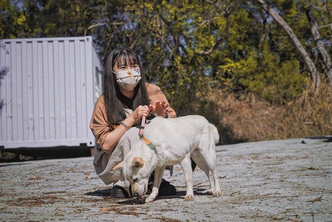 张多利为等待领养的狗狗拍摄美照，上传到经营的IG帐号，短短2年吸引近万名网友关注，成功媒合超过50只以上的浪犬找到新家。(吴建辉摄)