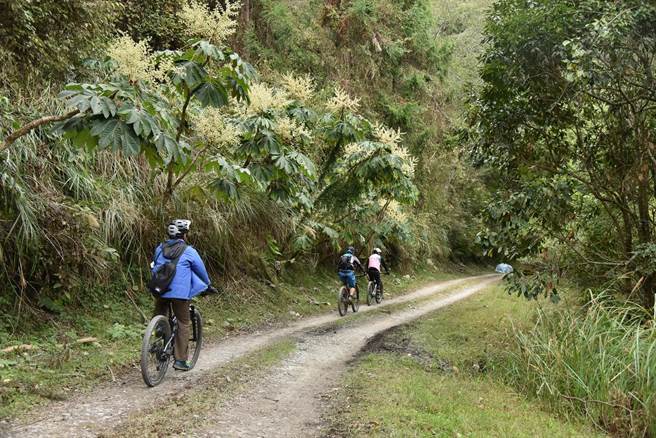 雪管处续办自行车进入大鹿林道东线。（雪管处提供／谢明俊苗栗传真）