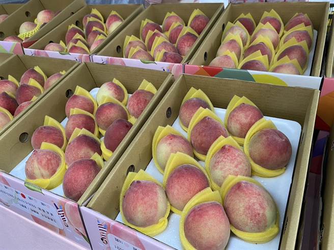 每年春夏限定的妈妈桃，口感鲜甜独特，今年更因雨水较少，更加香甜。（蔡明亘摄）