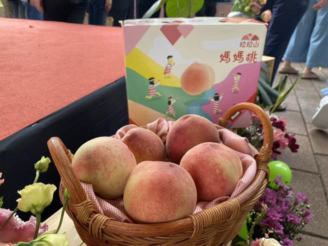 今年復兴区种植5月桃共46公顷，年产量290公吨，预估产值约3480万。（蔡明亘摄）