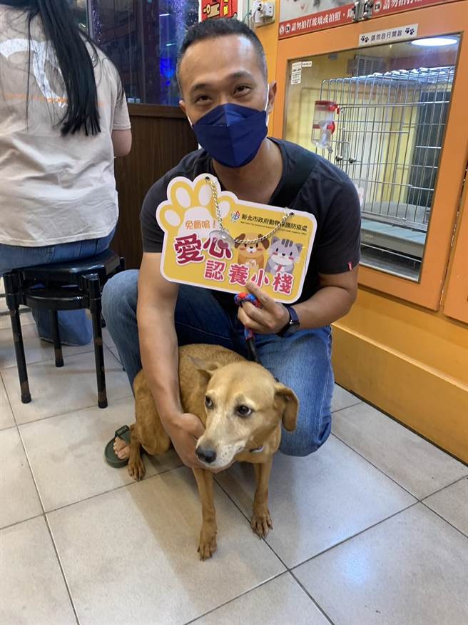 透过爱心认养小栈，「大头」终于成功找到新家。（动保处提供）