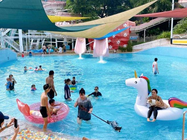 海湾从营建业转观光业，2020年于台中大坑风景区打造的宠物乐园海湾乐世界，主打人类与宠物能够一同旅游的友善乐园，为海湾在疫情间的营运增添助益。（图／翻摄自HIONE啵比星球脸书）