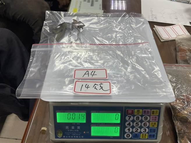 林务局花莲林区管理处与警方19日在卓溪乡国有林班地查获潘、陈2名山老鼠， 起出牛樟芝786公克、金线莲14公克，市值约9.5万元；图为金线莲。（花莲林管处提供／罗亦晽花莲传真）