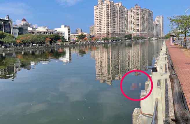台南市安平区望月桥附近的运河边，今天上午发现1具女性浮尸（红圈处）。（读者提供／洪荣志台南传真）