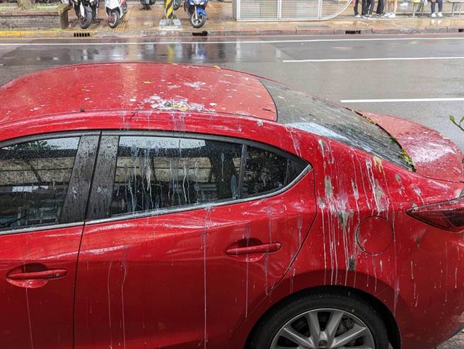 基隆市田寮河畔仁一路上的停车格，常被附近的鹭鸶「空袭」，搞得满车狼籍。（张志康摄）