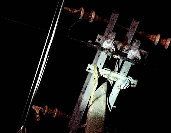 嘉义县水上乡大崙村一处电线杆昨晚因ㄧ尾蛇爬到电线杆上，造成上千户停电。（台电嘉义区处提供／吕妍庭嘉义传真）