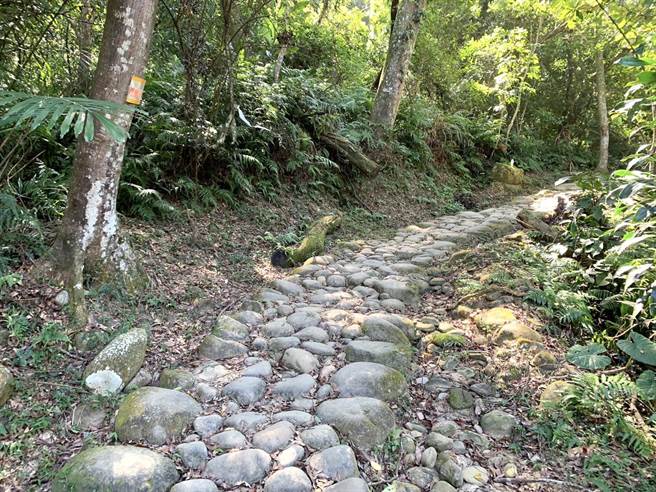 桃园市观旅局执行三层地区歷史巷弄营造及打铁寮古道工程，目前还有6位地主未点头同意。（吕筱蝉摄）