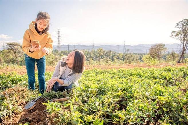 「六福浅山聚落」发展为循环经济示范基地，採用友善农耕、零农药、零化肥栽种，兼顾环境永续同时创造地方产值。(六福旅游集团提供)