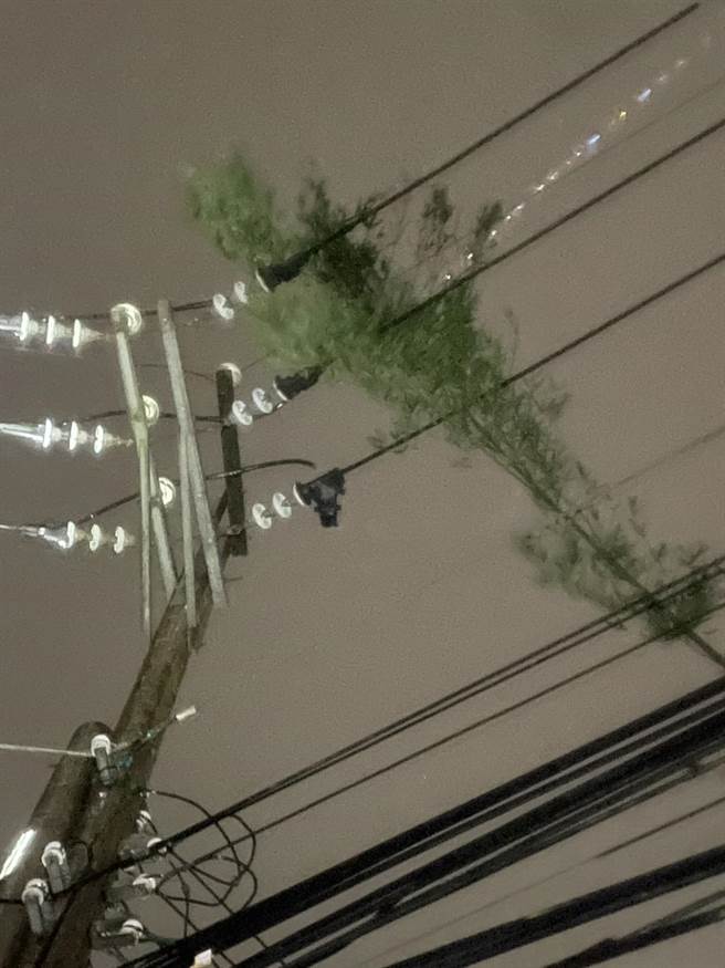 桃园芦竹区稍早有2000多户停电，经台电调查停电原因为树枝碰触，全面抢修后已经復电。（台电提供／陈梦茹桃园传真）
