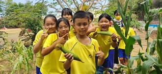 山海國小食農教育「班班有良田」 這群小朋友跟著玉米一起長大