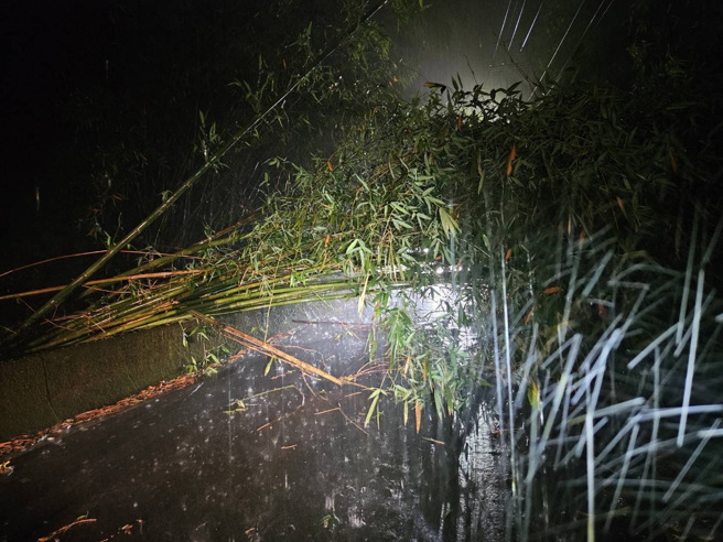 豪雨袭新北土城墙倒 五股路树倒塌阻交通。（翻摄画面）
