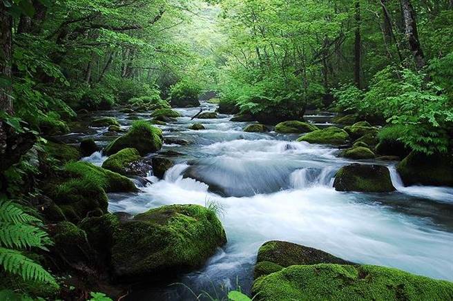 世邦旅游夏季日本东北，以直飞仙台的航班，主推超疗癒的奥入濑溪。（世邦旅游提供）