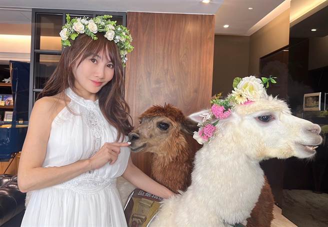 王宥忻受大韩国将军后裔之邀，将带领羊驼麦可前进艺术时尚圈。（固力狗提供）