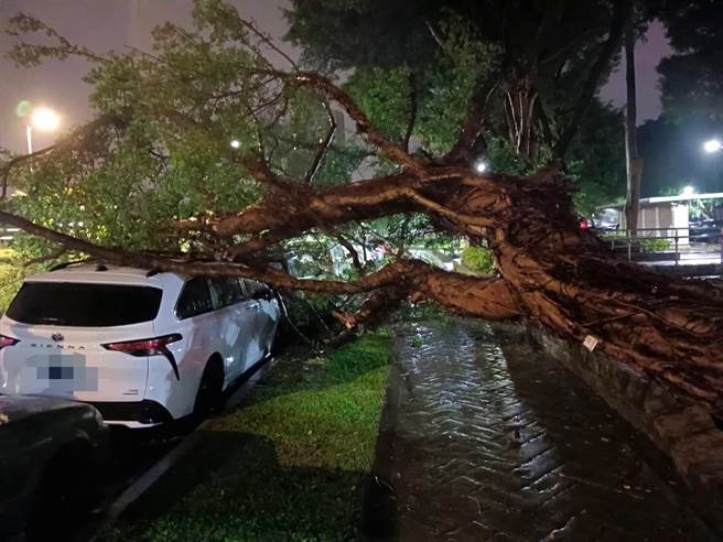 锋面带来强降雨造成北投一处路树坍塌。（翻摄画面）