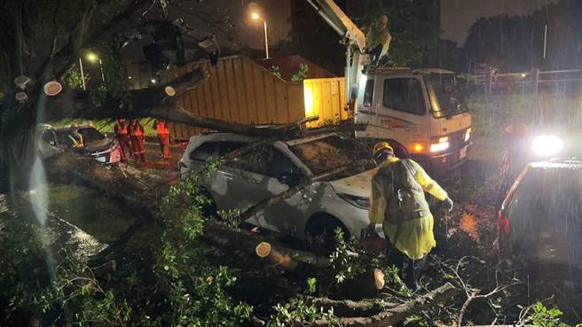 警方到场协助排除坍塌路树。（翻摄画面）