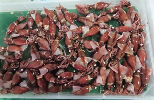 除美国玉米之外，来自日本的萤光乌贼也因重金属超标遭拦下。（食药署提供）