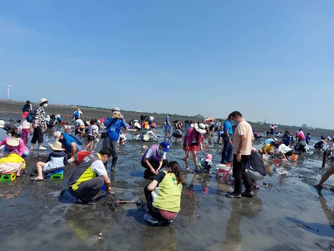预计在6月10日星期六在福宝漂流光座标热闹登场，而每年重头戏摸「蛤仔」兼洗裤活动，已经吸引全国超过1800乡亲报名，体验挖蛤乐趣与渔民辛苦。（杨福锦提供／吴建辉彰化传真）