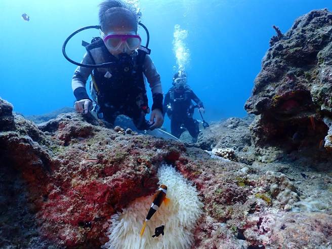 谦恩投身潜水运动，想当志工，到海底检垃圾，为环保尽一份力。（蔡纪苇提供／林周义台北传真）