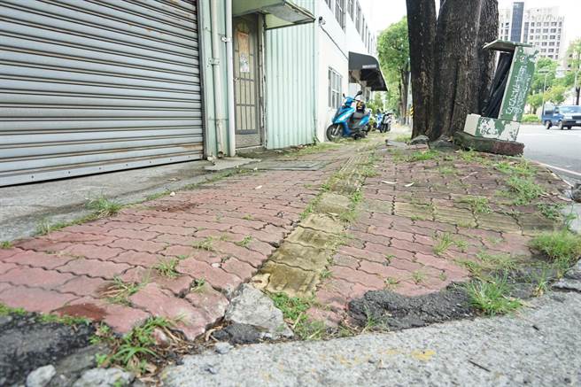 民眾向议员陈情高雄澄清路人行道老旧不堪。（郑孟洳提供）