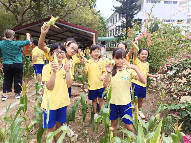 恒春镇山海国小继「落叶之家」启用后，全校师生又对食农教育迈向一大步，以「班班有良田」为目标，成功将荒地变成玉米田。（山海国小提供／谢佳潾屏东传真）